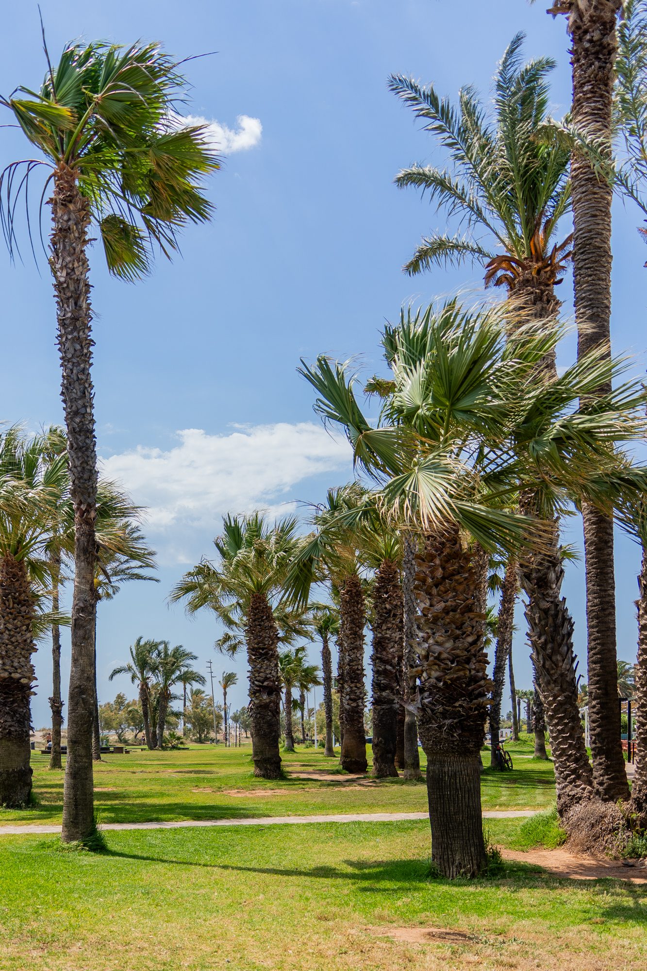 Grao de Castellón