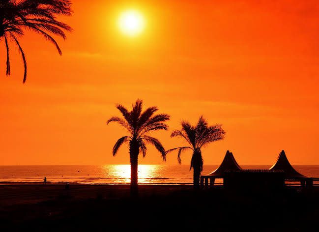 Puesta de sol entre palmeras en el paseo marítimo del Grao de Castellón
